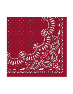 carré de soie 50x50 2