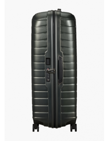 cw6.004 spinner 81/30