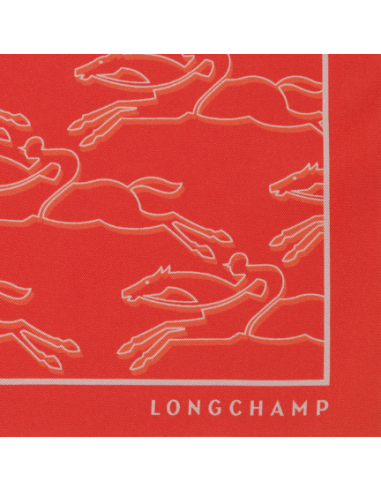 carré de soie 70x70