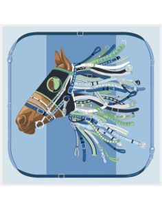 carré de soie 90x90