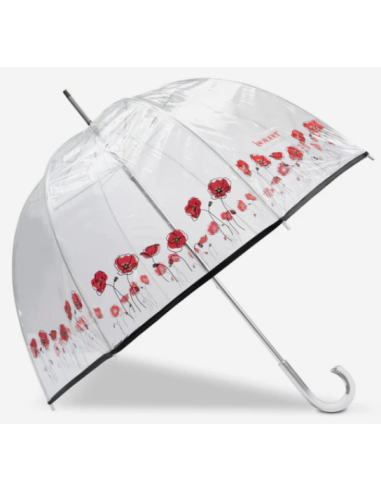 parapluie droit transparent