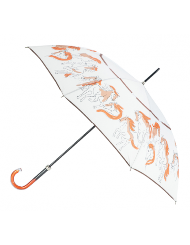 parapluie droit tringle