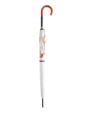 parapluie droit tringle