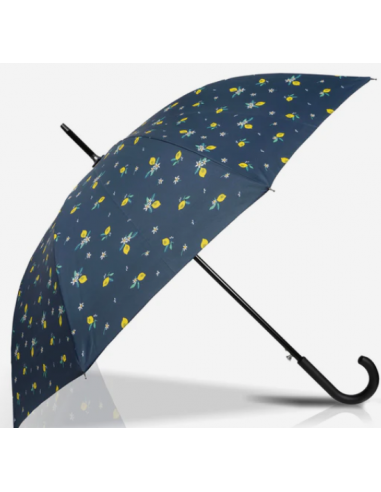 parapluie droit automatique
