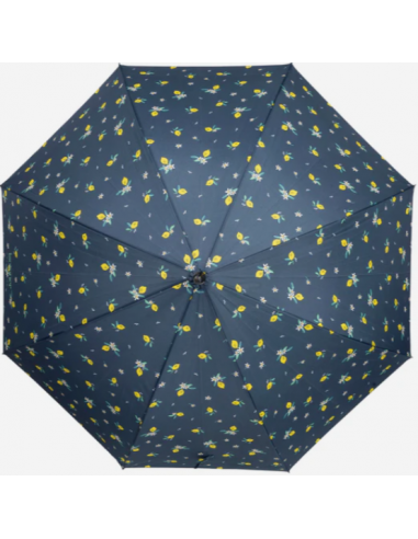 parapluie droit automatique