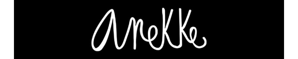 Pochette anekke en vente chez Nury Maroquinerie Bourg-en-Bresse