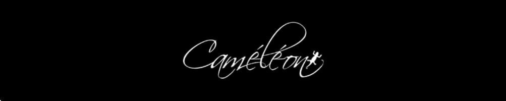 Sac à dos caméléon en vente chez Nury Maroquinerie Bourg-en-Bresse